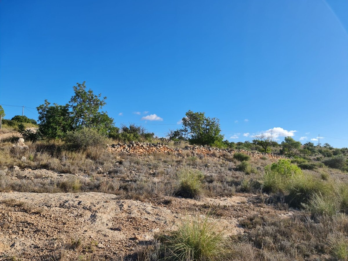 Land in La Romana