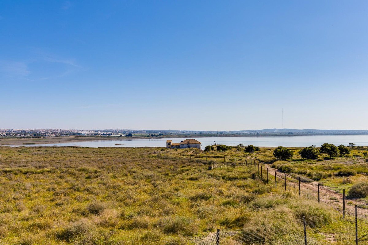 3 Bed Detached Villa in Rojales