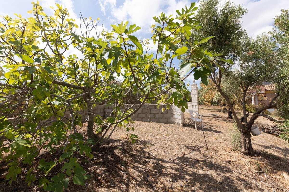 2 Bed Finca - Cortijo in Entrerrios