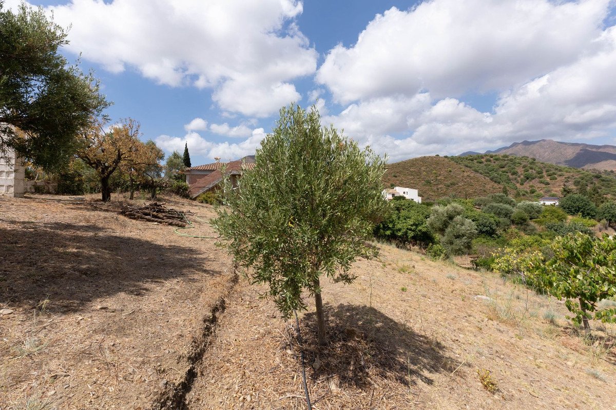 2 Bed Finca - Cortijo in Entrerrios
