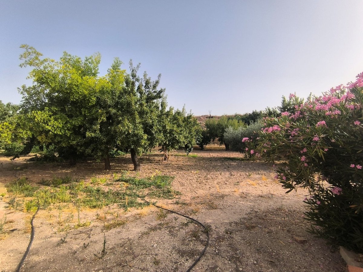 3 Bed Finca - Cortijo in Pinoso