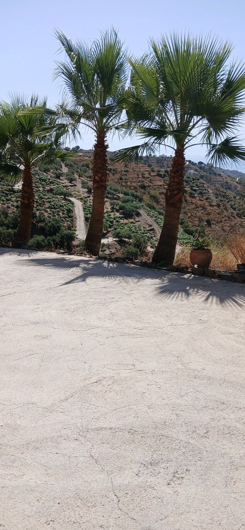 3 Bed Finca - Cortijo in Sayalonga
