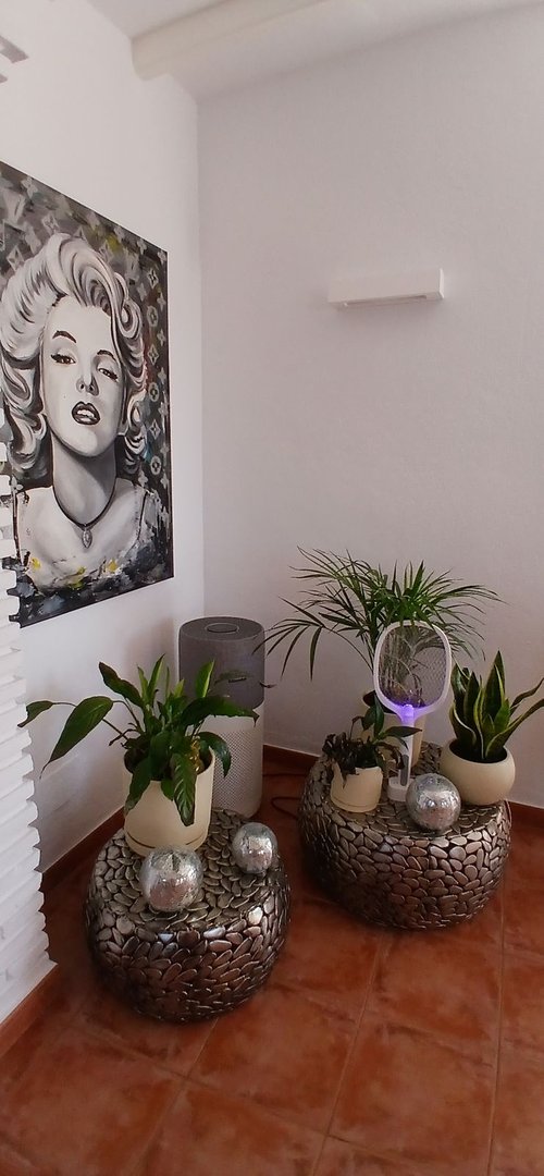 3 Bed Finca - Cortijo in Sayalonga