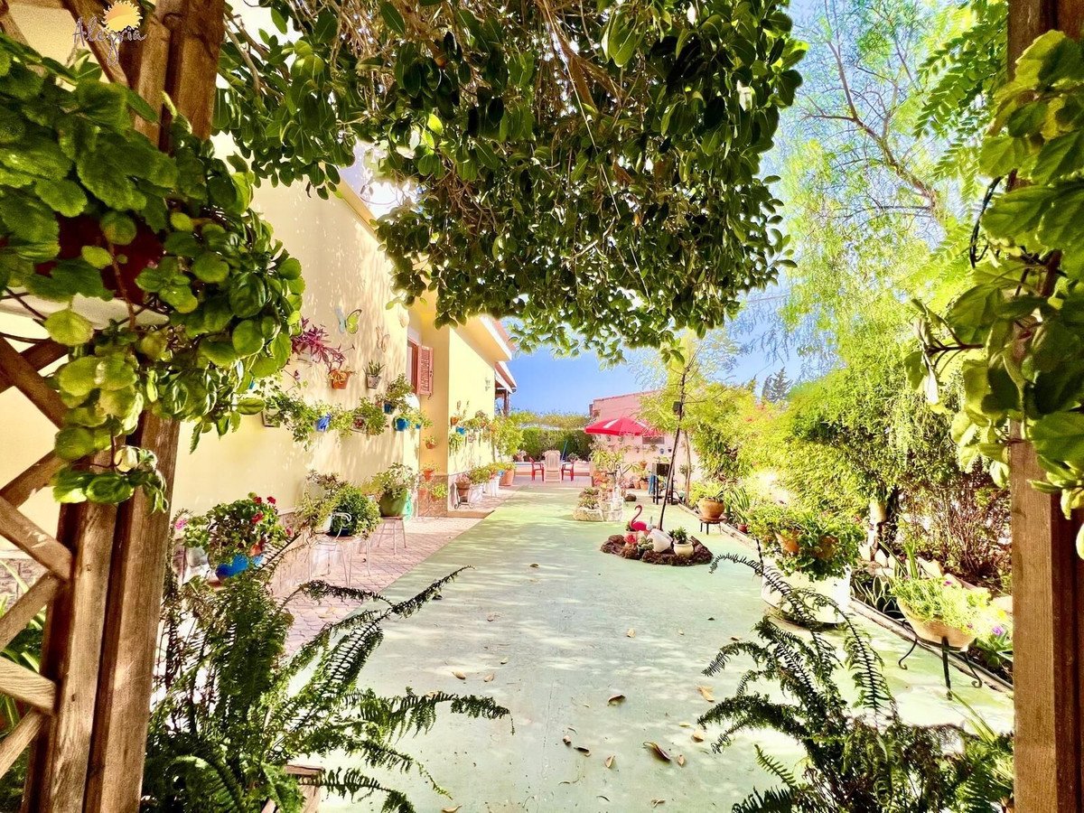 1 Bed Detached Villa in Daya Vieja