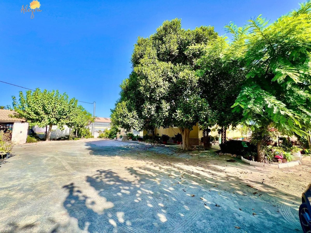 1 Bed Detached Villa in Daya Vieja