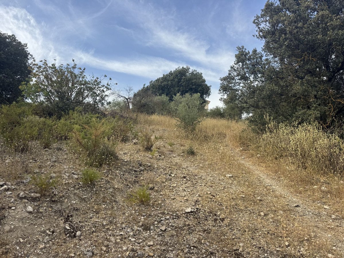 3 Bed Finca - Cortijo in Alfarnate