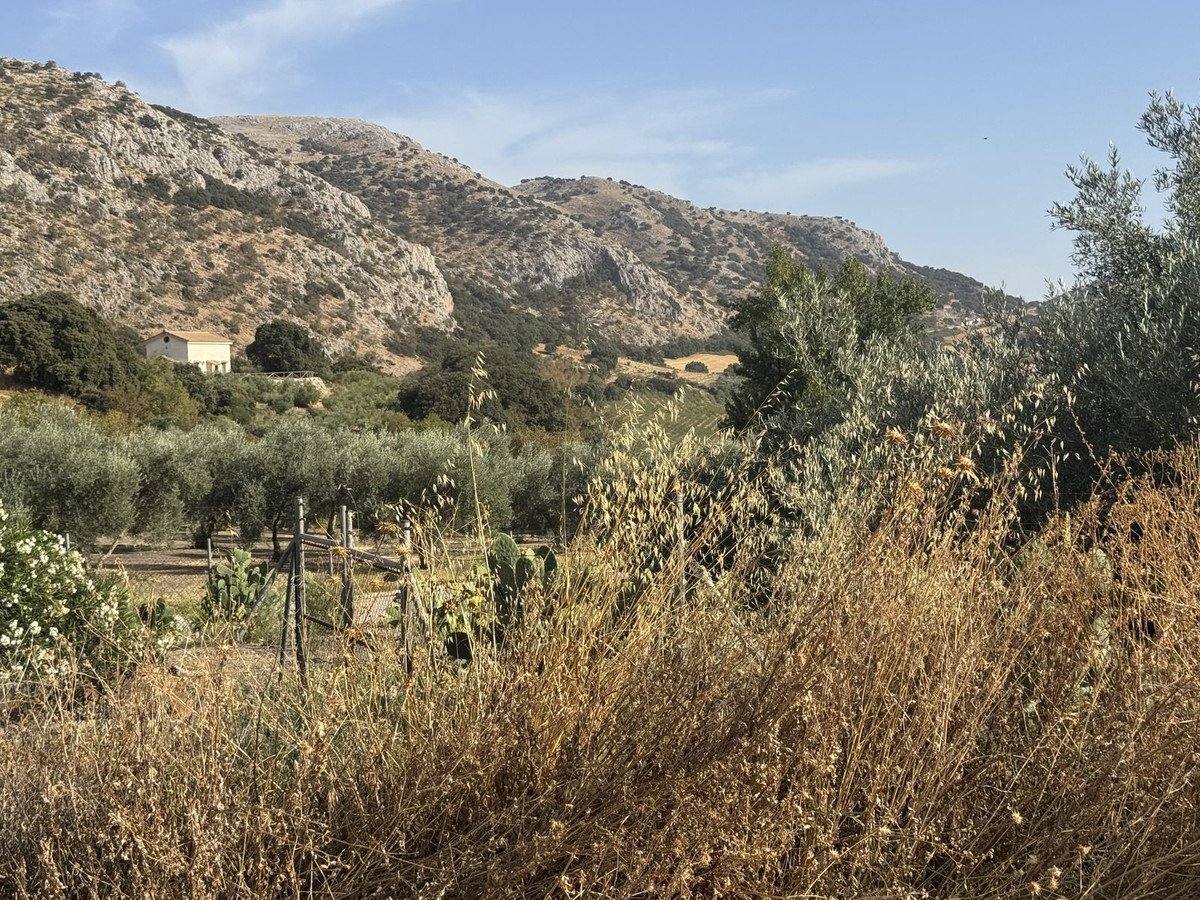 3 Bed Finca - Cortijo in Alfarnate