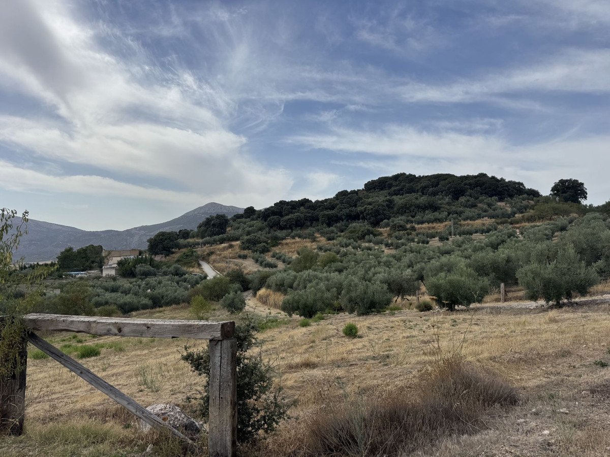 3 Bed Finca - Cortijo in Alfarnate