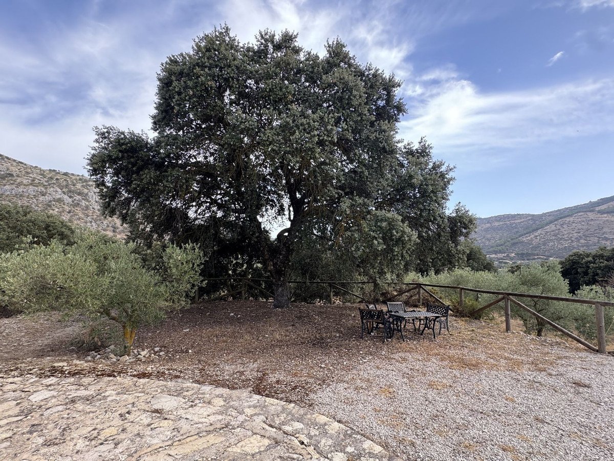 3 Bed Finca - Cortijo in Alfarnate
