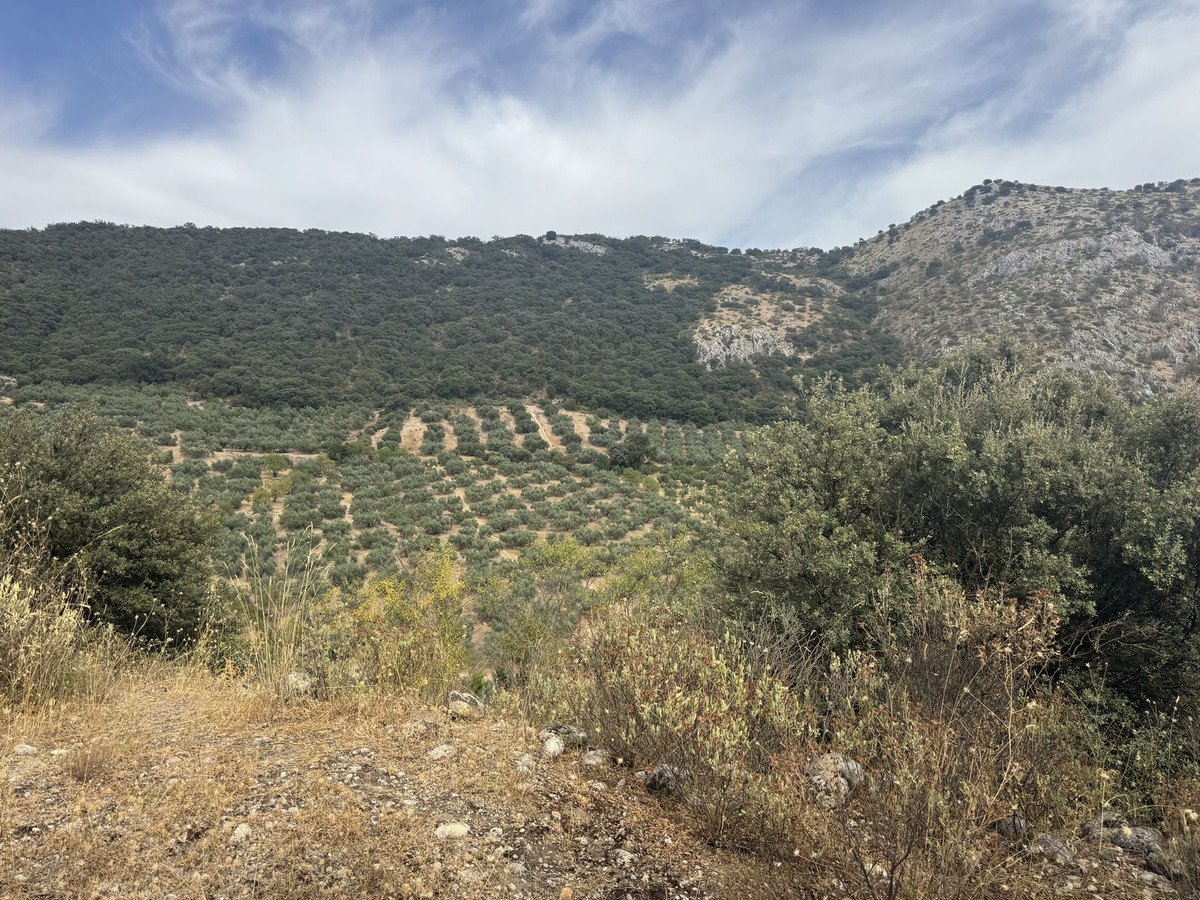 3 Bed Finca - Cortijo in Alfarnate