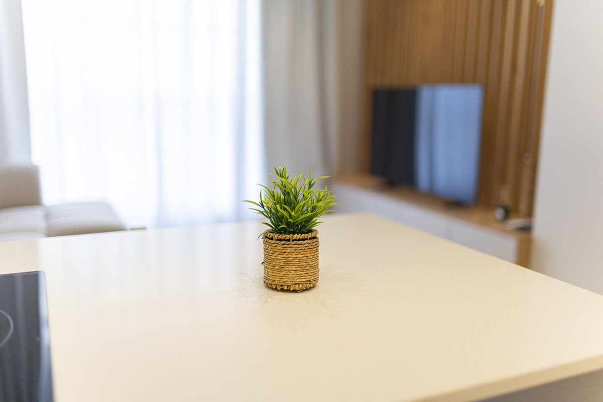 2 Bed Ground Floor Apartment in Alicante