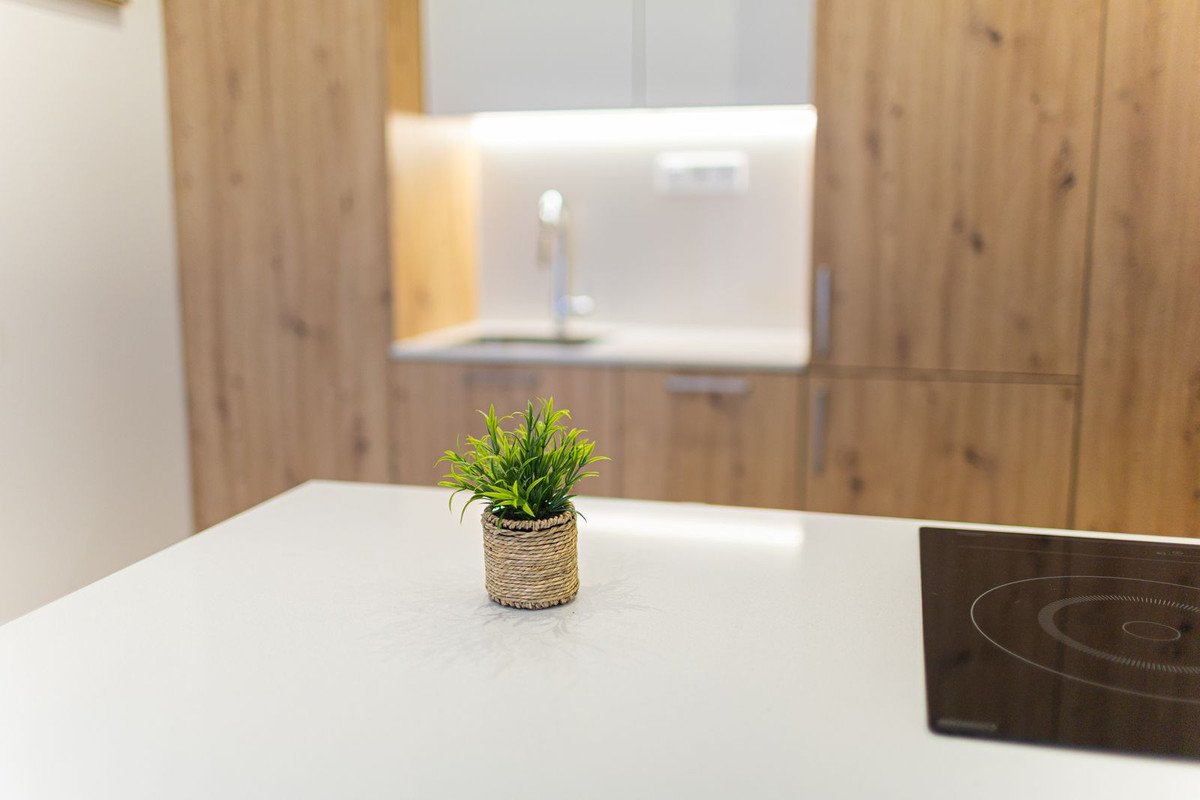 2 Bed Ground Floor Apartment in Alicante