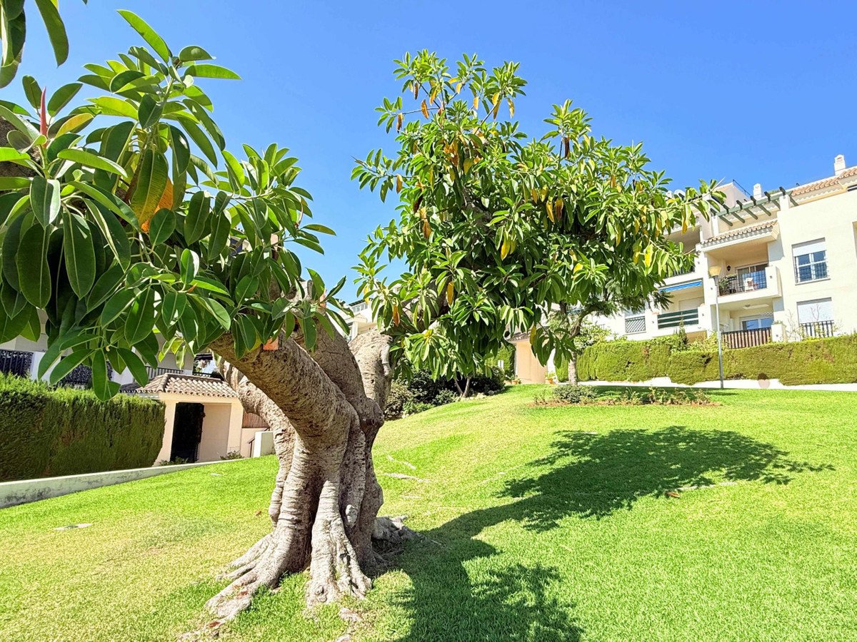 2 Bed Middle Floor Apartment in Marbella