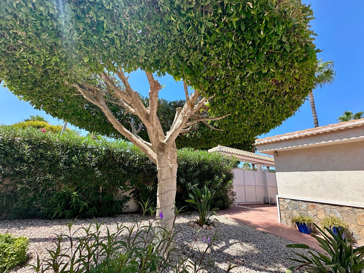 6 Bed Detached Villa in Ciudad Quesada