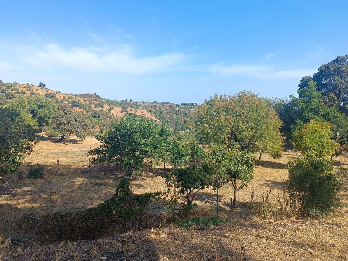 1 Bed Finca - Cortijo in Estepona