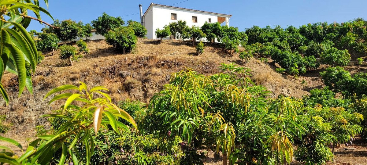 Land in Vélez-Málaga
