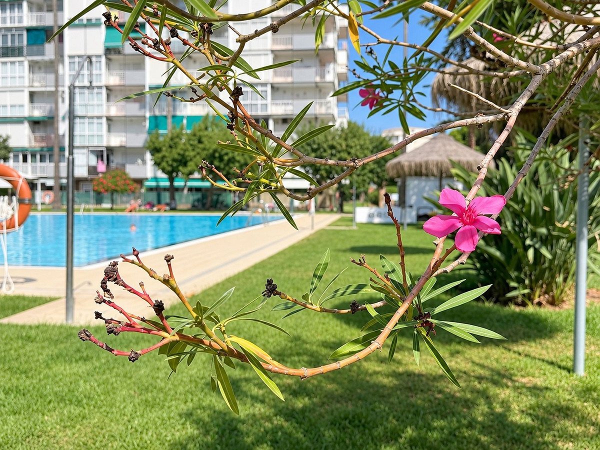 2 Bed Ground Floor Apartment in Benalmadena Costa