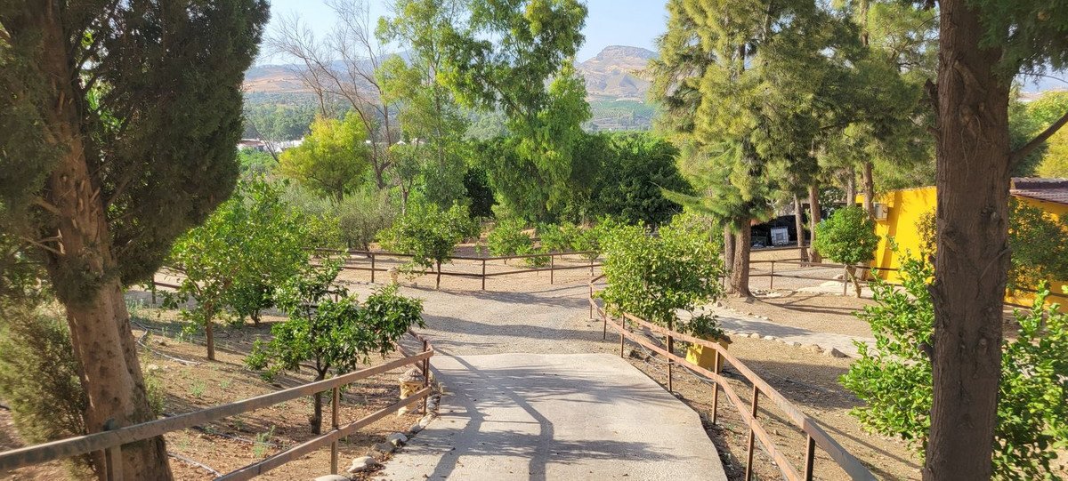 14 Bed Finca - Cortijo in Pizarra