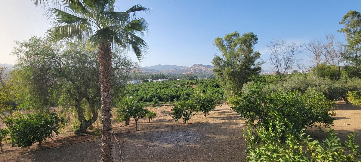 14 Bed Finca - Cortijo in Pizarra