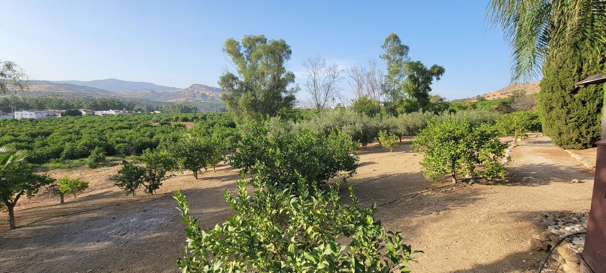 14 Bed Finca - Cortijo in Pizarra