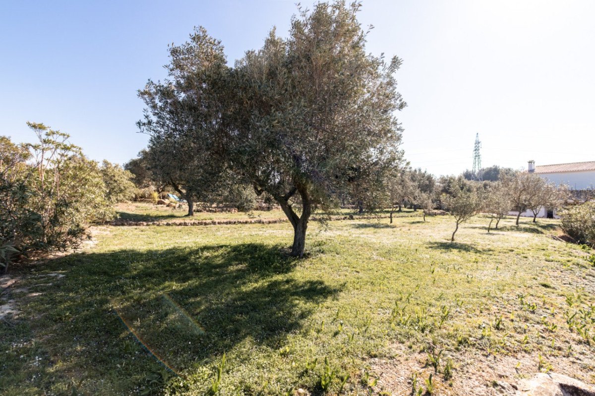 3 Bed Finca - Cortijo in Canor