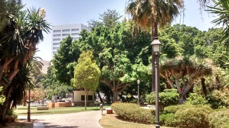 3 Bed Ground Floor Apartment in Málaga