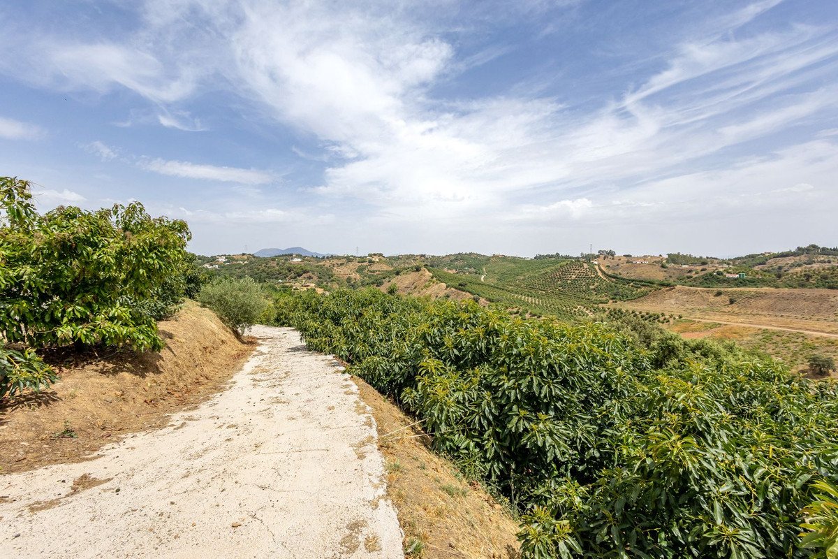 3 Bed Finca - Cortijo in Alhaurín el Grande