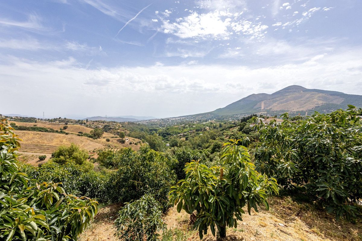 3 Bed Finca - Cortijo in Alhaurín el Grande