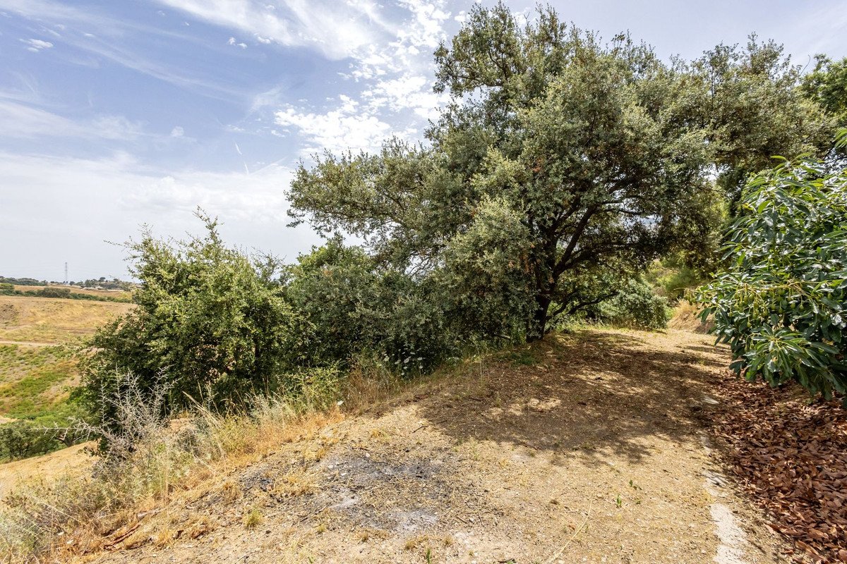 3 Bed Finca - Cortijo in Alhaurín el Grande