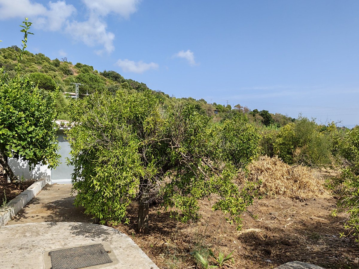 3 Bed Detached Villa in Estepona