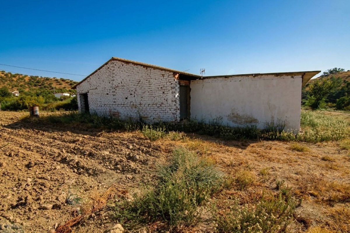 Land with Ruin in Coín
