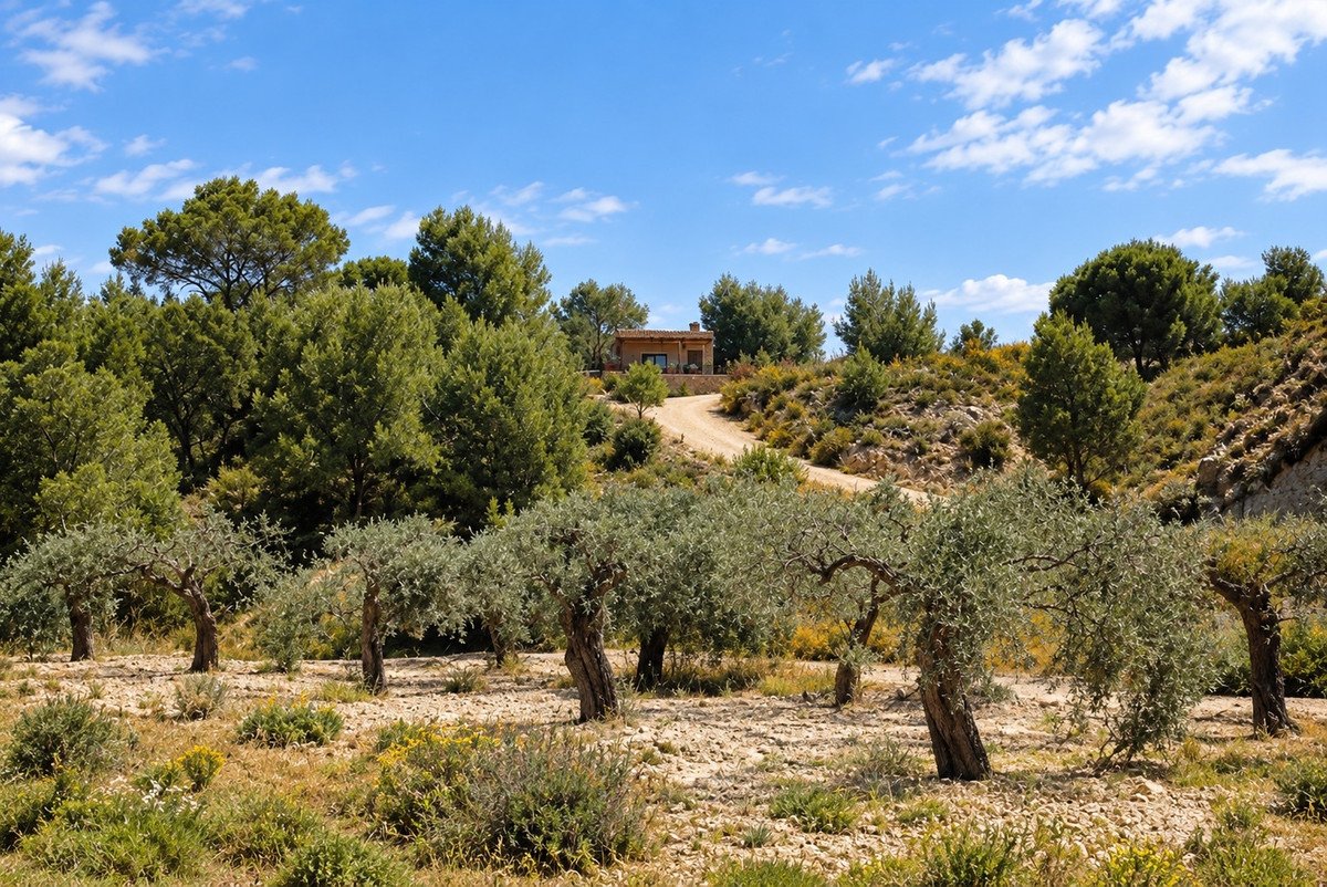 3 Bed Detached Villa in Murcia City