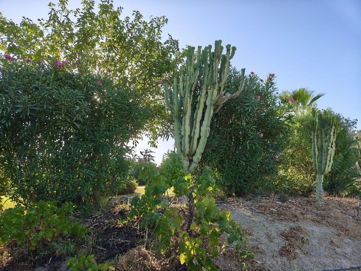 3 Bed Finca - Cortijo in Alhaurín el Grande