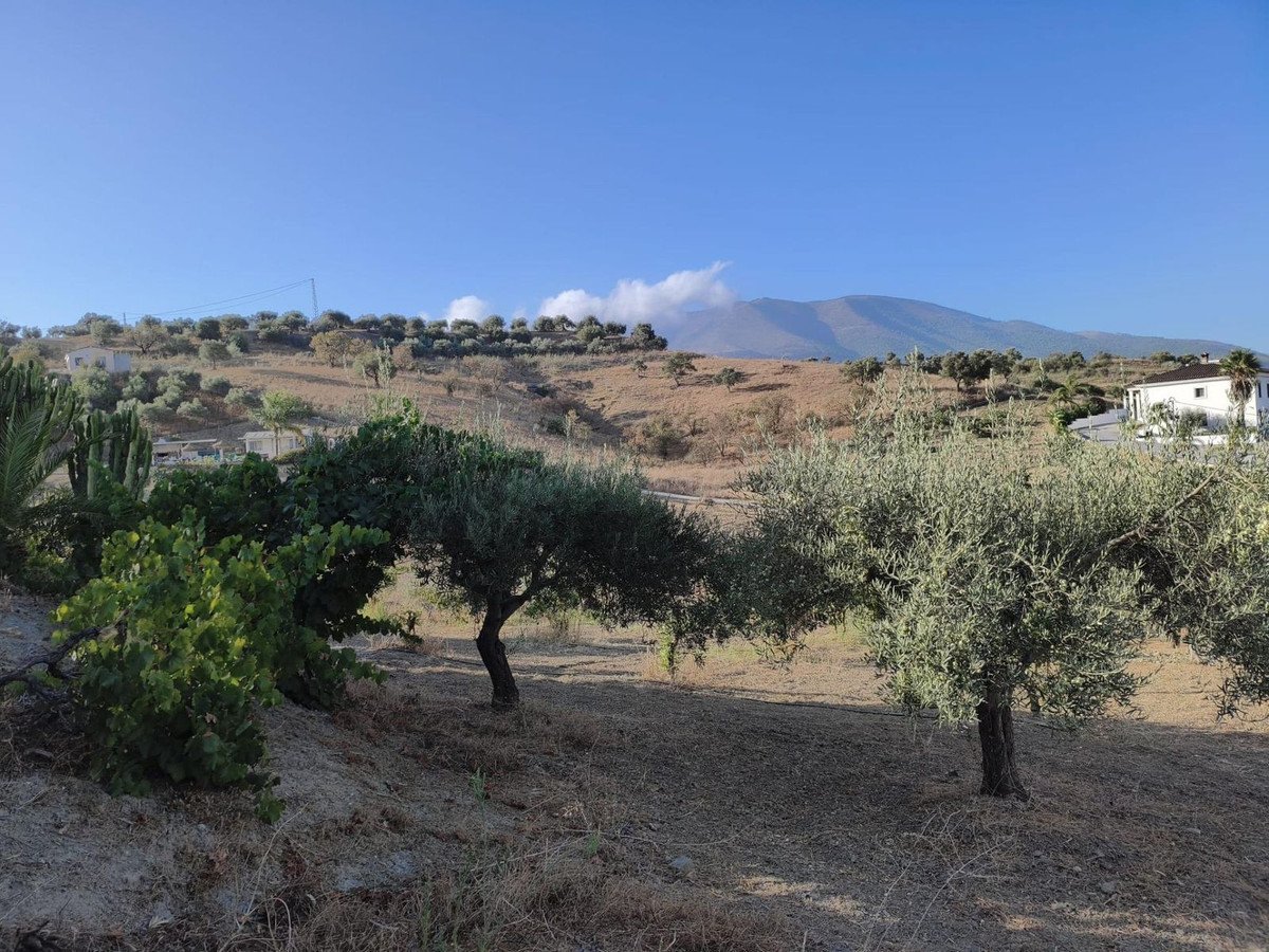 3 Bed Finca - Cortijo in Alhaurín el Grande