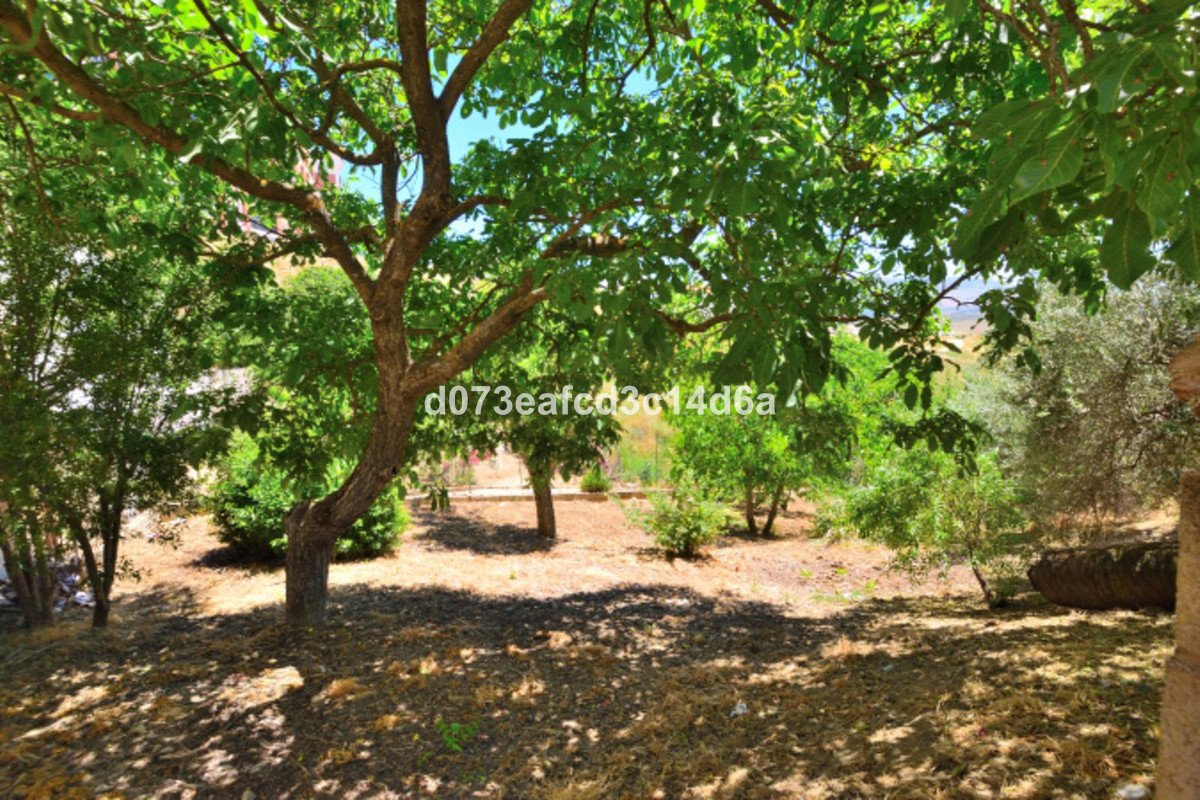 Commercial Plot in Ronda