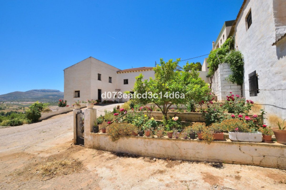 Commercial Plot in Ronda
