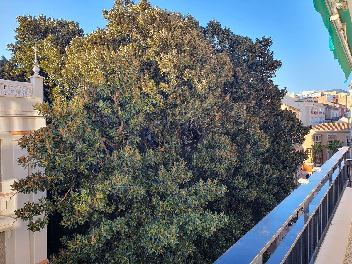3 Bed Middle Floor Apartment in Málaga Centro