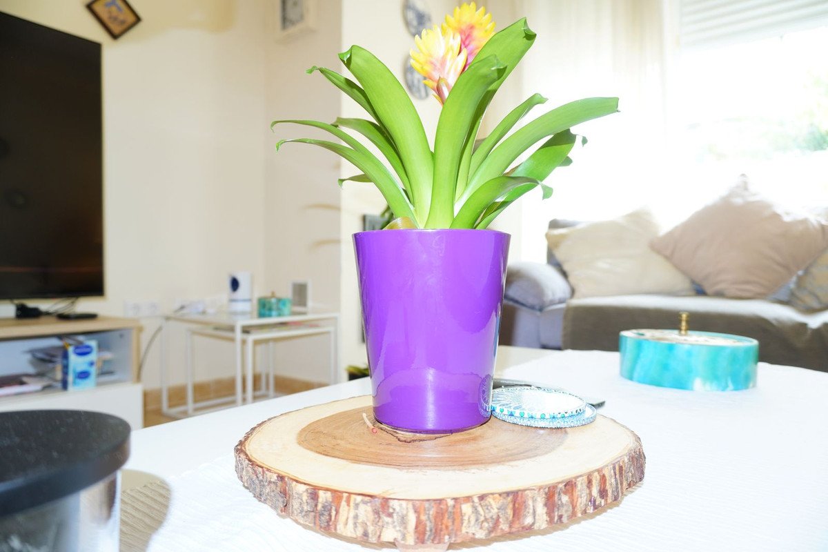 4 Bed Townhouse in Mijas