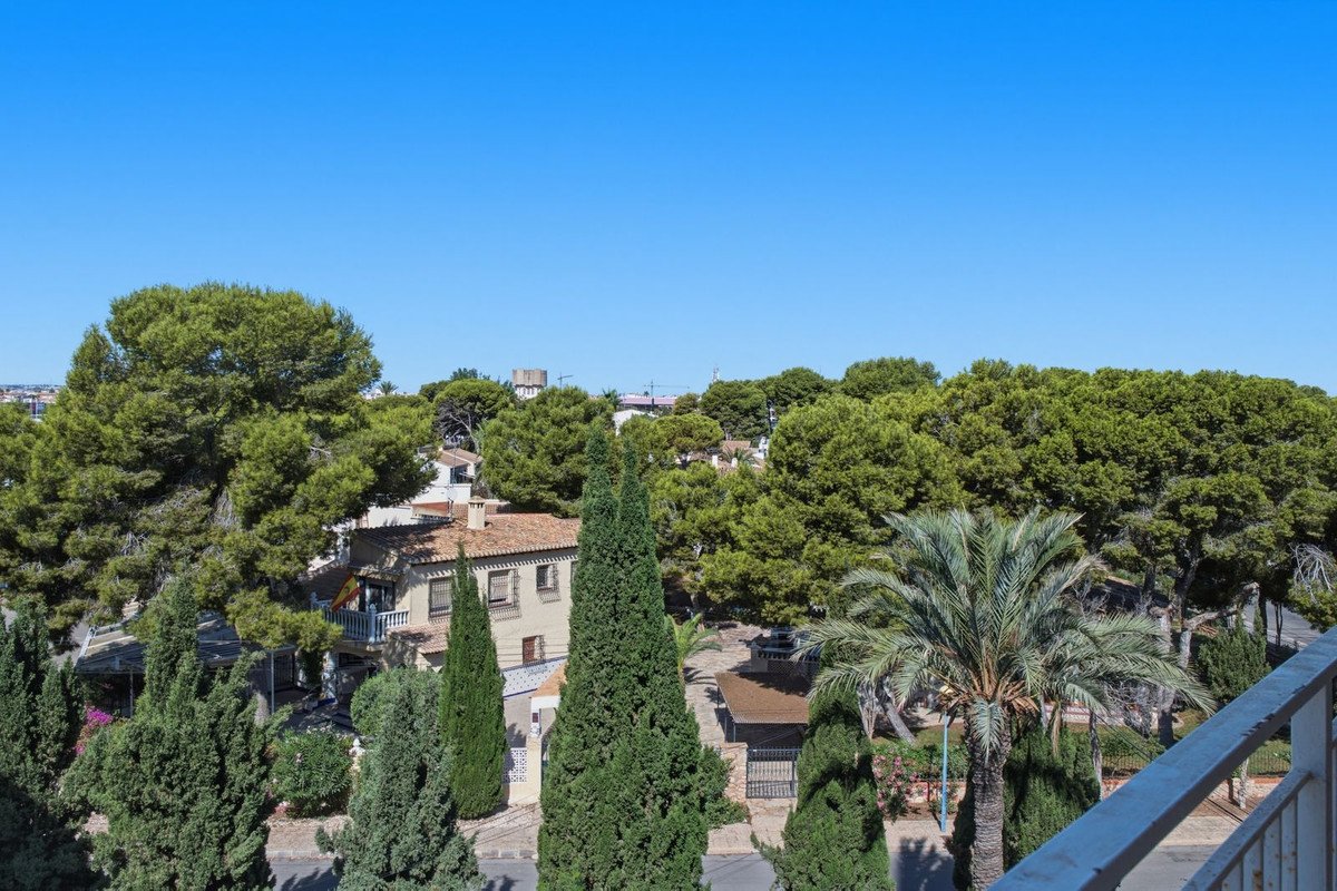3 Bed Top Floor Apartment in Punta Prima