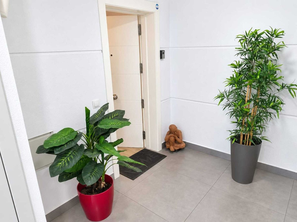 2 Bed Ground Floor Apartment in Los Boliches