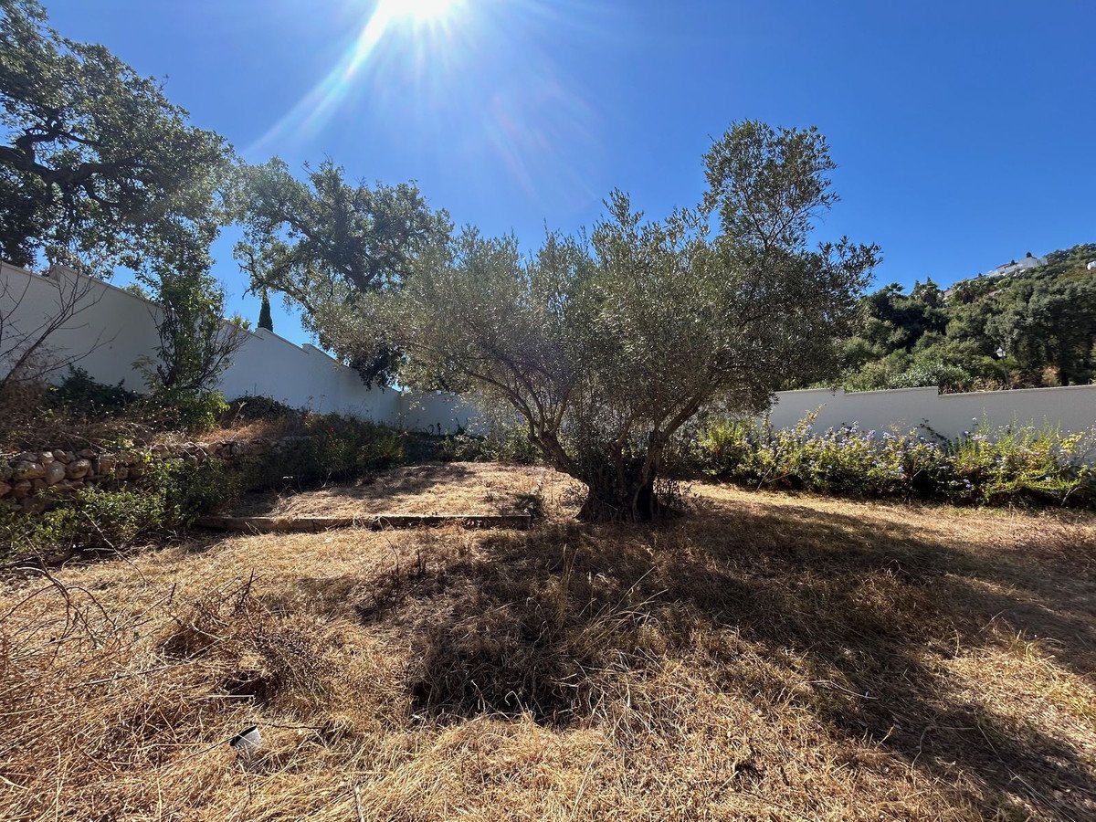 3 Bed Detached Villa in La Mairena