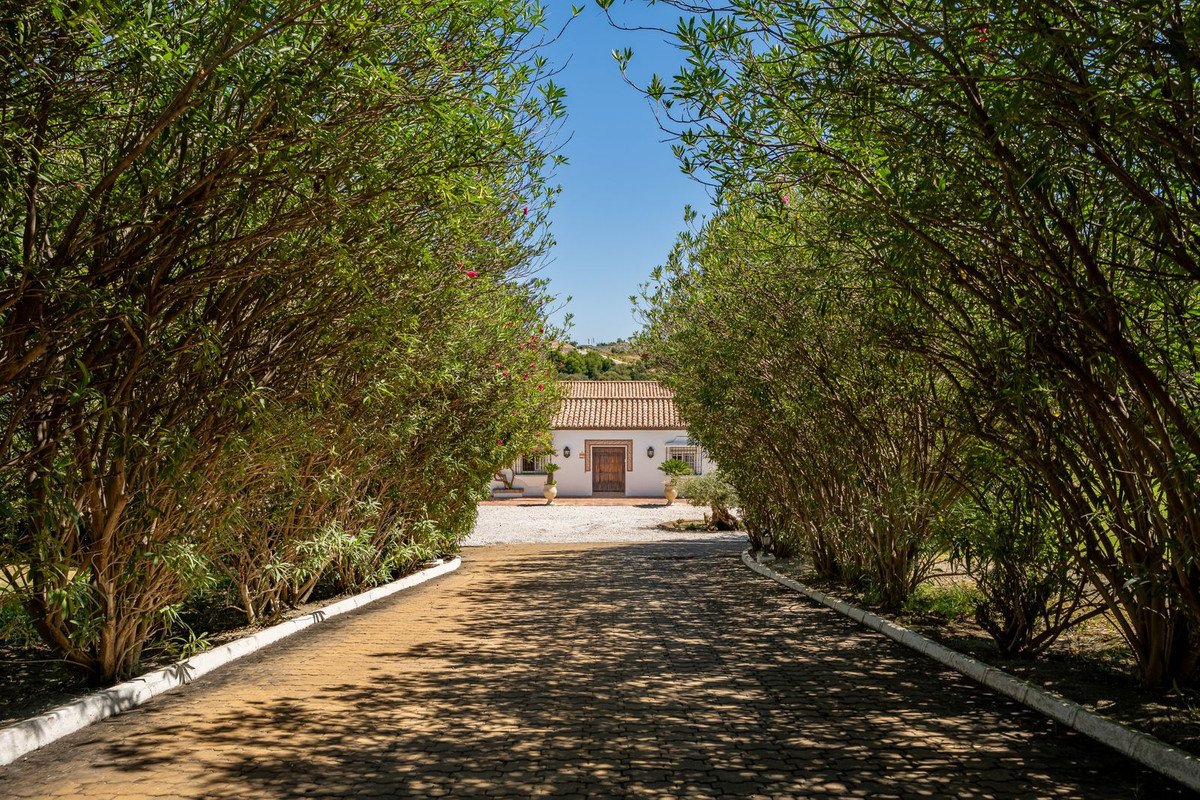 8 Bed Finca - Cortijo in Cancelada