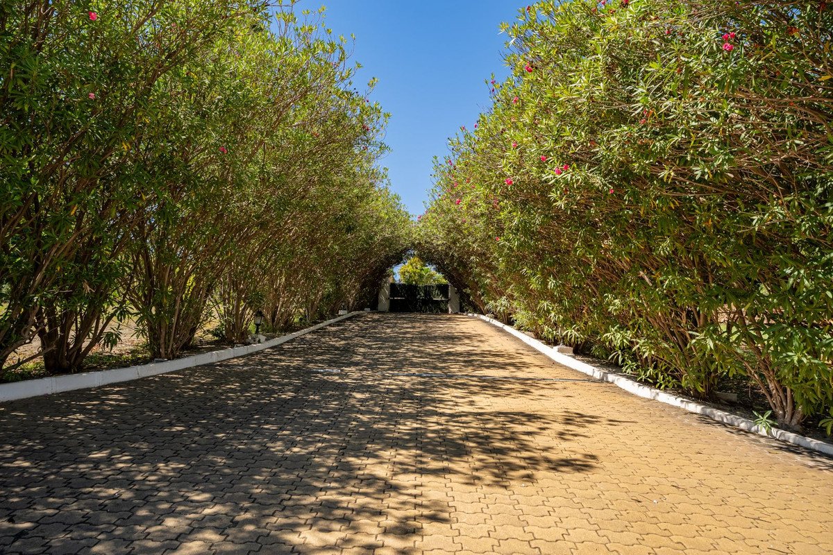 8 Bed Finca - Cortijo in Cancelada