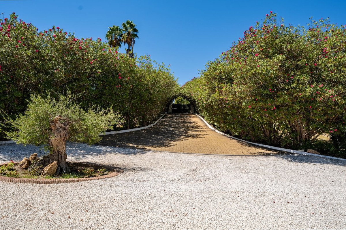 8 Bed Finca - Cortijo in Cancelada