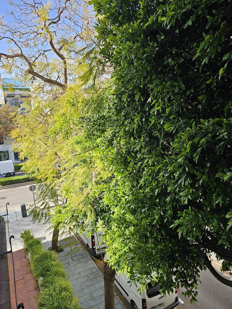 2 Bed Middle Floor Apartment in Marbella