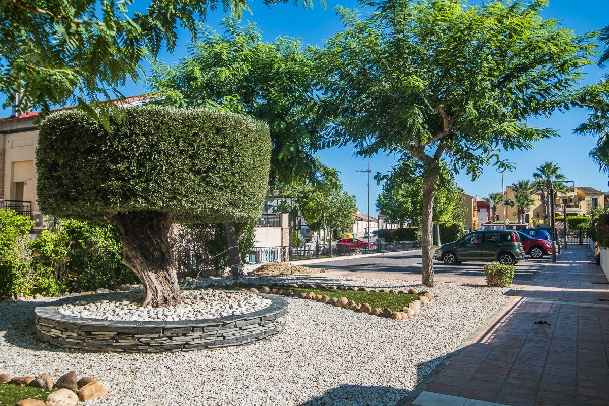 3 Bed Detached Villa in Algorfa