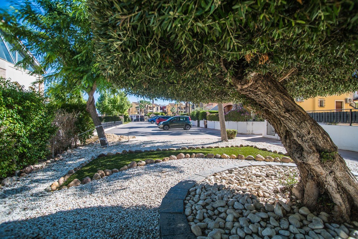 3 Bed Detached Villa in Algorfa
