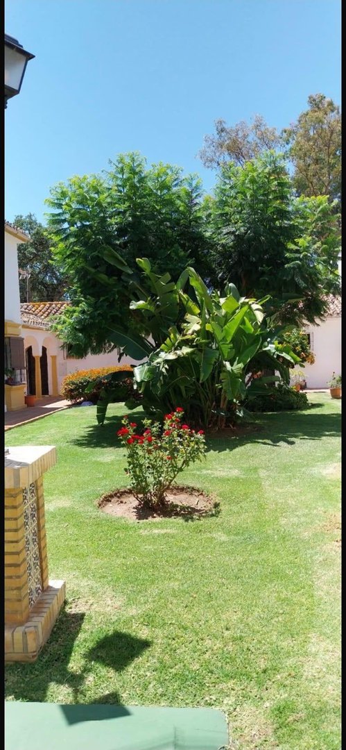 3 Bed Townhouse in Elviria