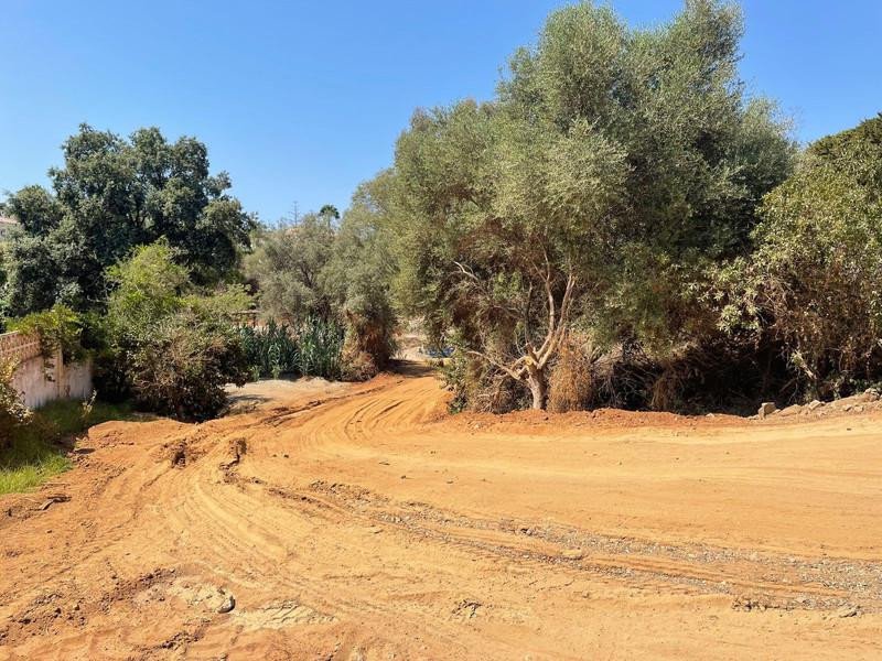 Land in El Rosario