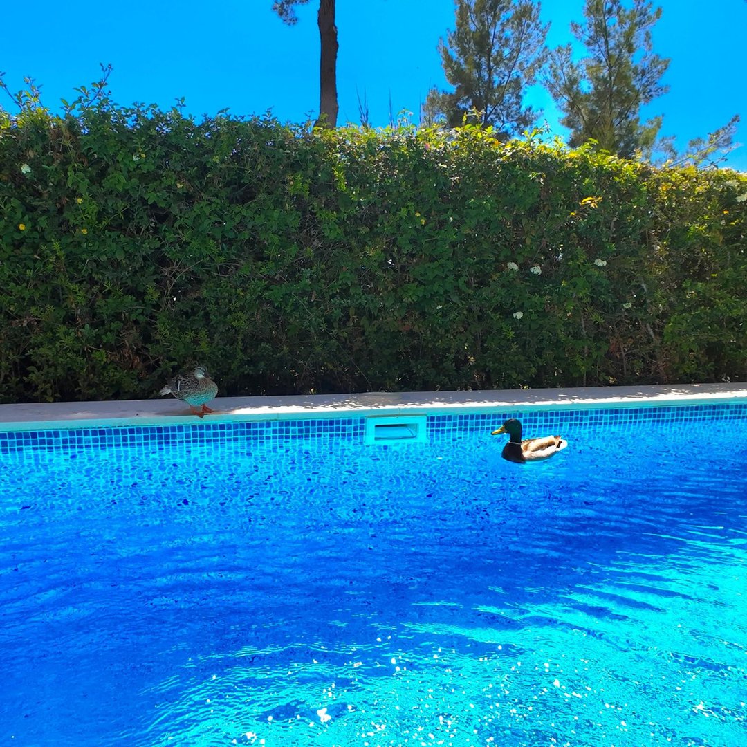 4 Bed Detached Villa in Estepona